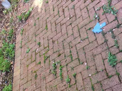 brick-patio-restoration-Washington-DC.